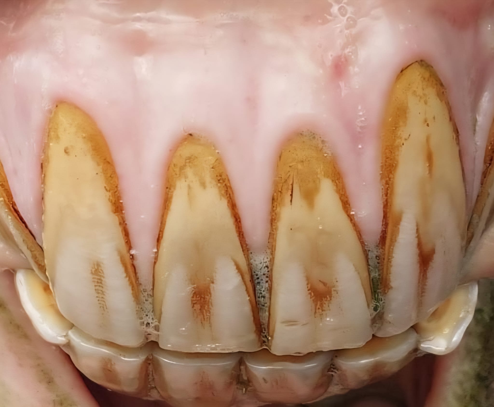 Julia Holzschuh bei der Arbeit