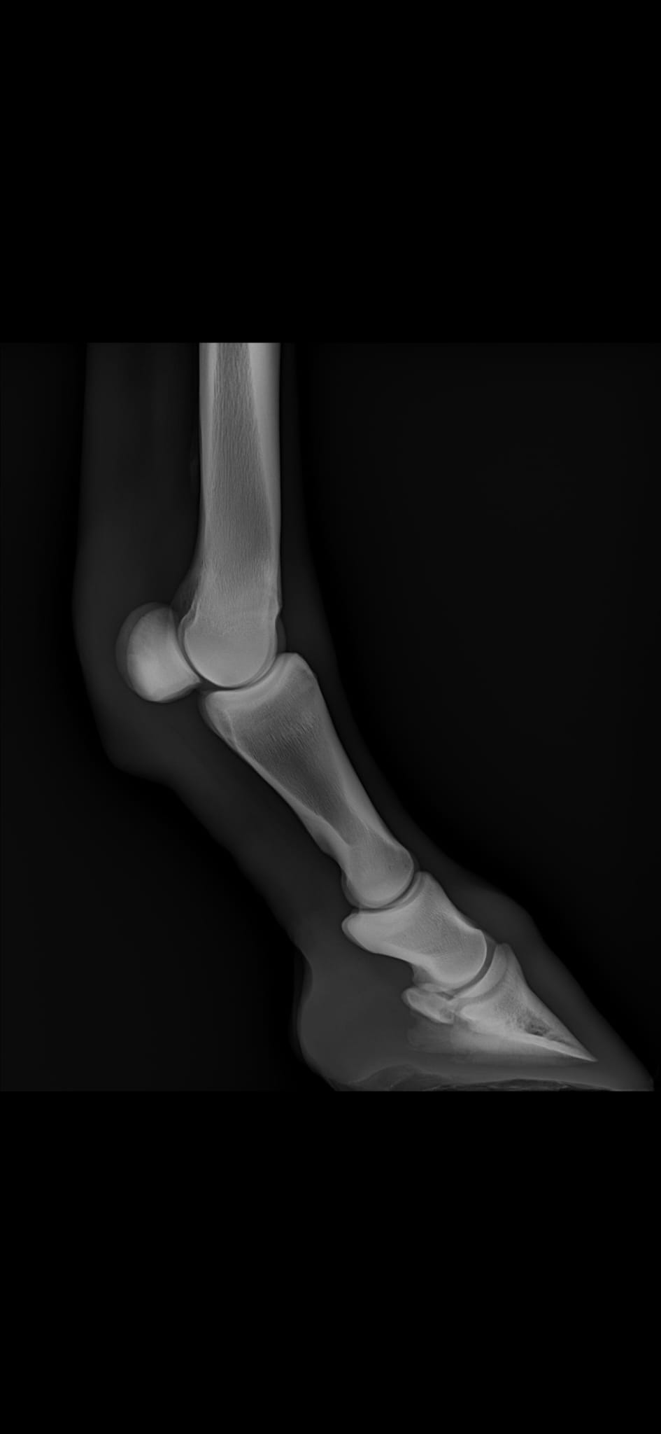 Tierarztpraxis Impression