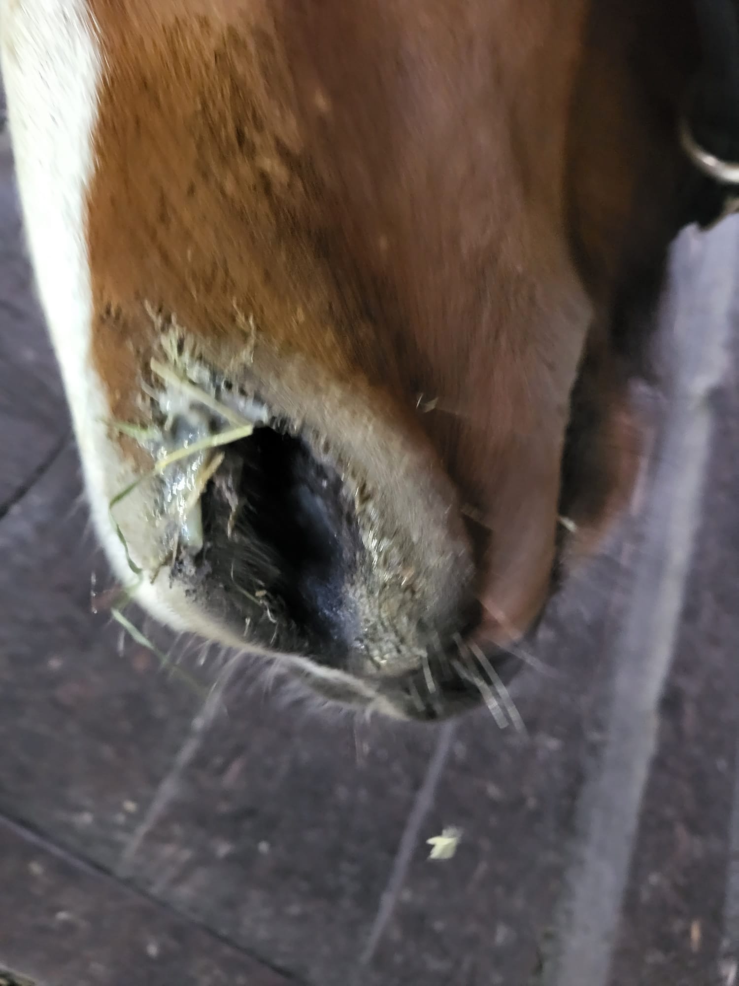 Tierarztpraxis Impression